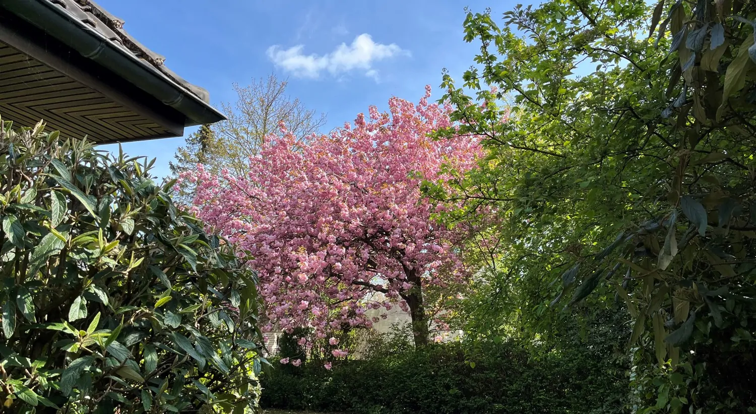 Walmdach-Villa in begehrter Wohnlage