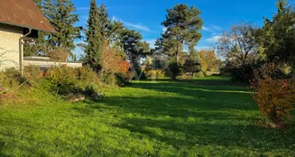 von_poll_real_estate_property_25191148_image_14