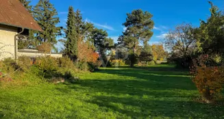 von_poll_real_estate_property_25191148_image_14