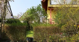 von_poll_real_estate_property_25191132_image_3