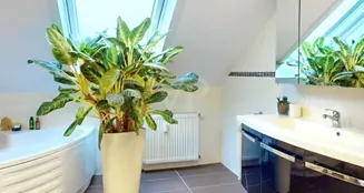 von_poll_real_estate_property_26191152_image_19