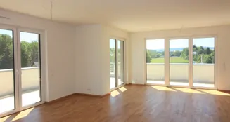 von_poll_real_estate_property_26486006_image_5