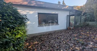 von_poll_real_estate_property_25089121_image_18