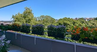 von_poll_real_estate_property_25089115_image_16