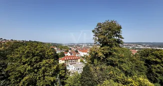 von_poll_real_estate_property_25089044_image_9