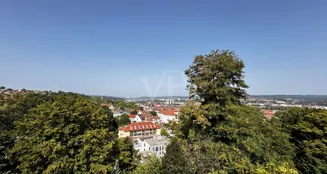 von_poll_real_estate_property_25089044_image_9