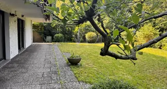 von_poll_real_estate_property_25089044_image_18