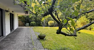 von_poll_real_estate_property_25089044_image_18