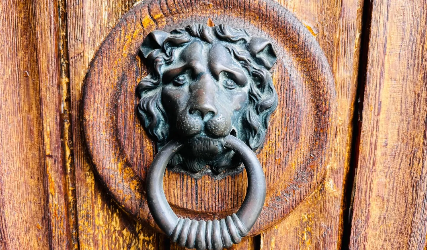 Wellness und wohnen auf dem Triller