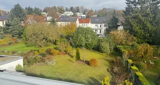 von_poll_real_estate_property_25089075_image_13