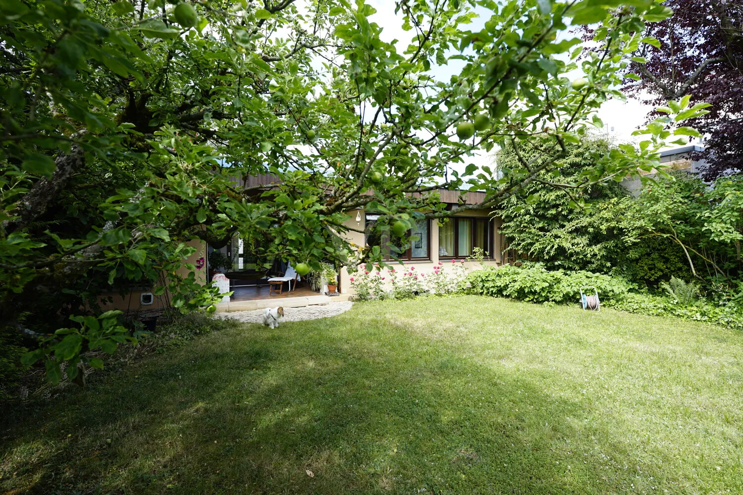 Bungalow auf dem Bübinger Berg