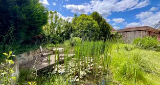 von_poll_real_estate_property_25285020_image_3