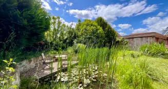 von_poll_real_estate_property_25285020_image_3