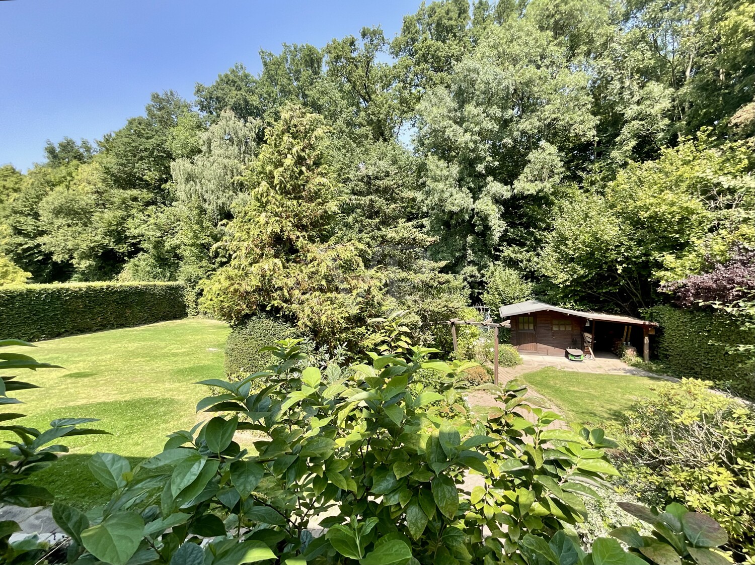 Garten