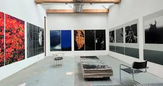 von_poll_real_estate_property_22151003_image_20