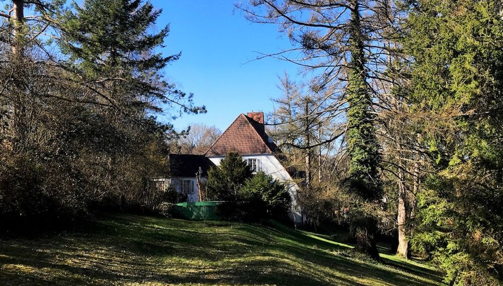 Ansicht vom Garten