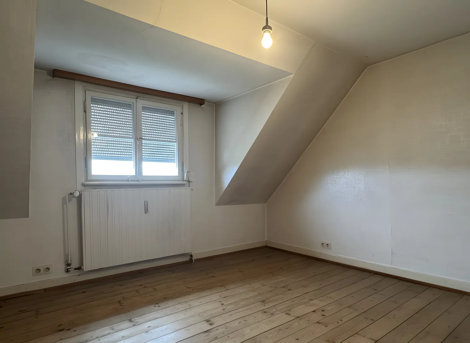 Zimmer DG