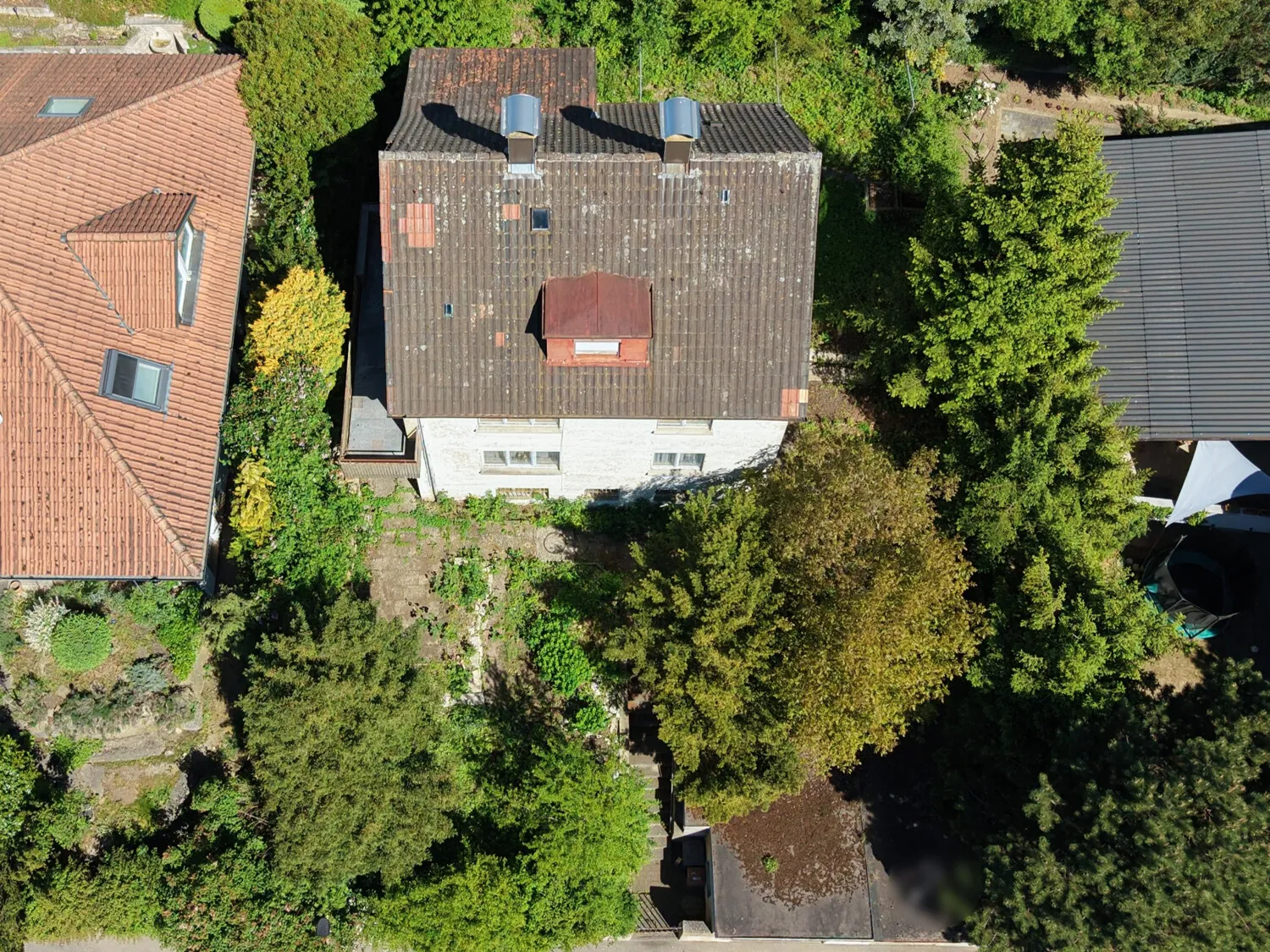 Vogelperspektive