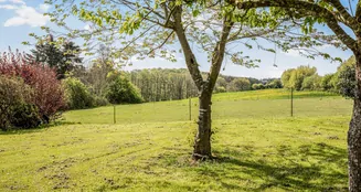 von_poll_real_estate_property_25053011_image_13