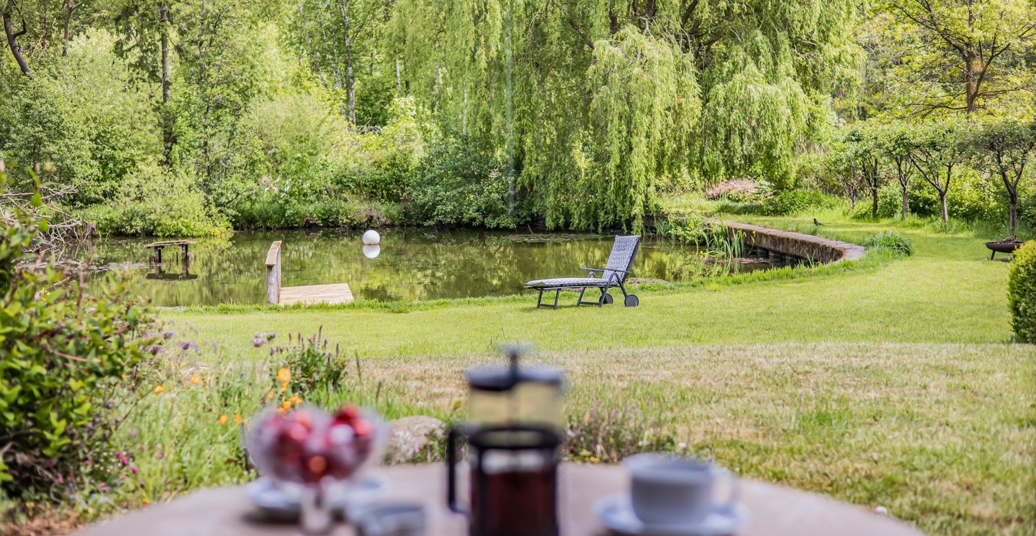 Blick in den Garten