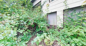 von_poll_real_estate_property_25283010_image_16