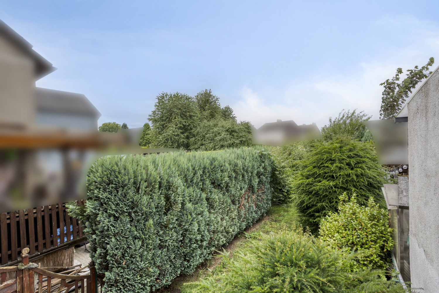 Blick in den Garten