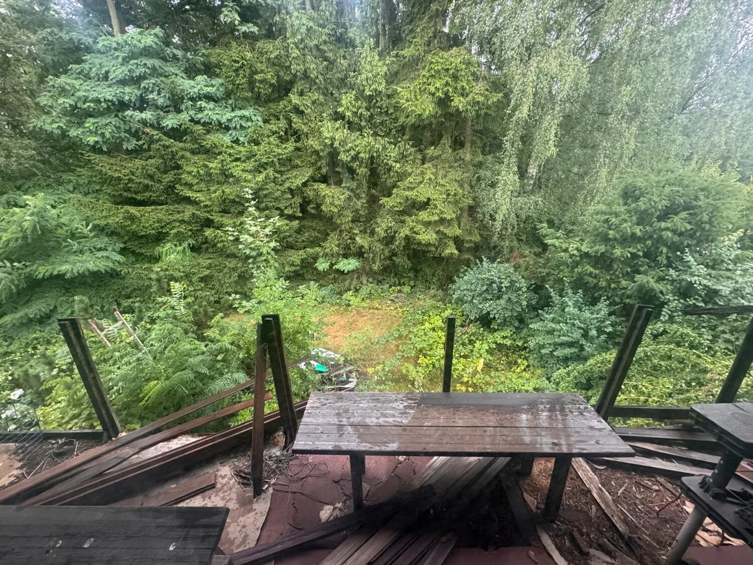 Blick in den Garten vom Balkon