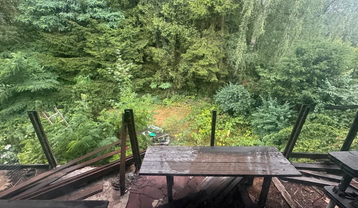 Blick in den Garten vom Balkon