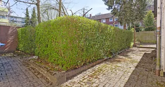 von_poll_real_estate_property_25283008_image_38