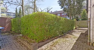 von_poll_real_estate_property_25283008_image_38