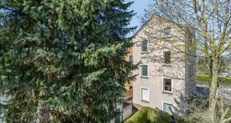 von_poll_real_estate_property_25283008_image_5