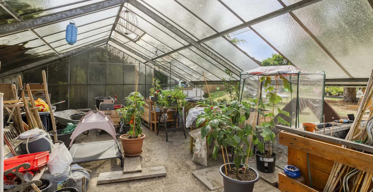 Gewächshaus