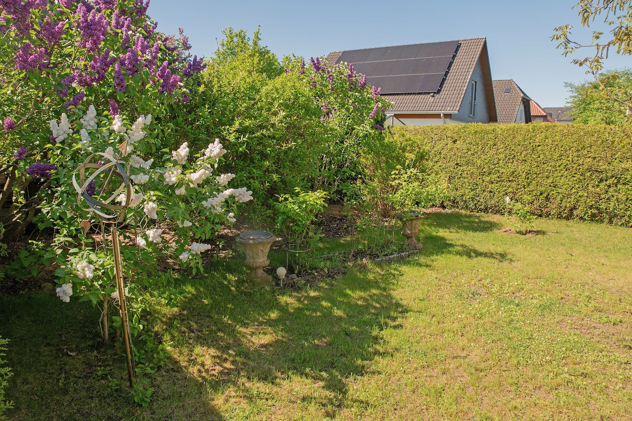 8 Garten
