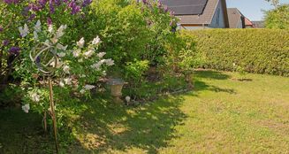 von_poll_real_estate_property_25281506_image_9