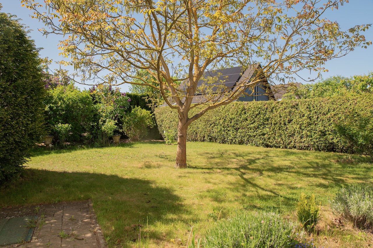 7 Garten