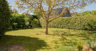 von_poll_real_estate_property_25281506_image_8
