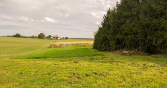 von_poll_real_estate_property_25281515_image_15