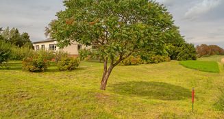 von_poll_real_estate_property_25281515_image_14