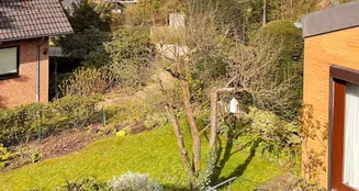 von_poll_real_estate_property_26255002_image_3