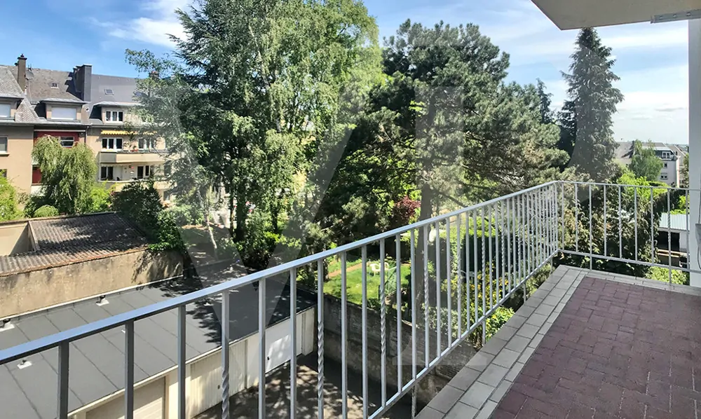 IMG_0249_20210922111543 WEB