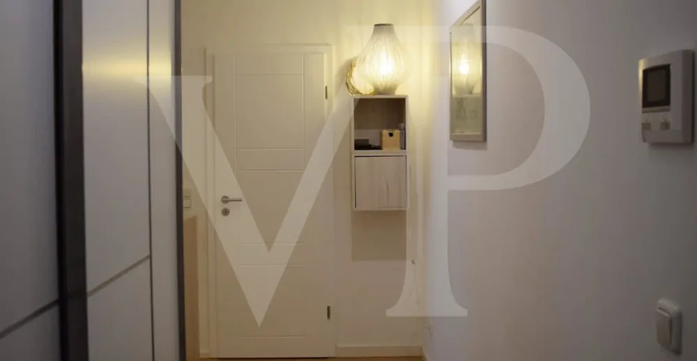 123530045_371058167465970_2373807215641471881_n