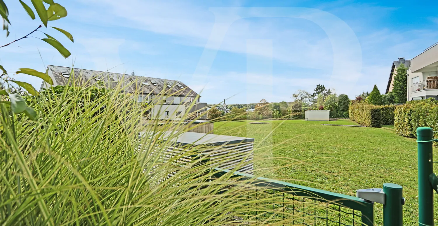 IMG_8895_20241004180559267335 PRO