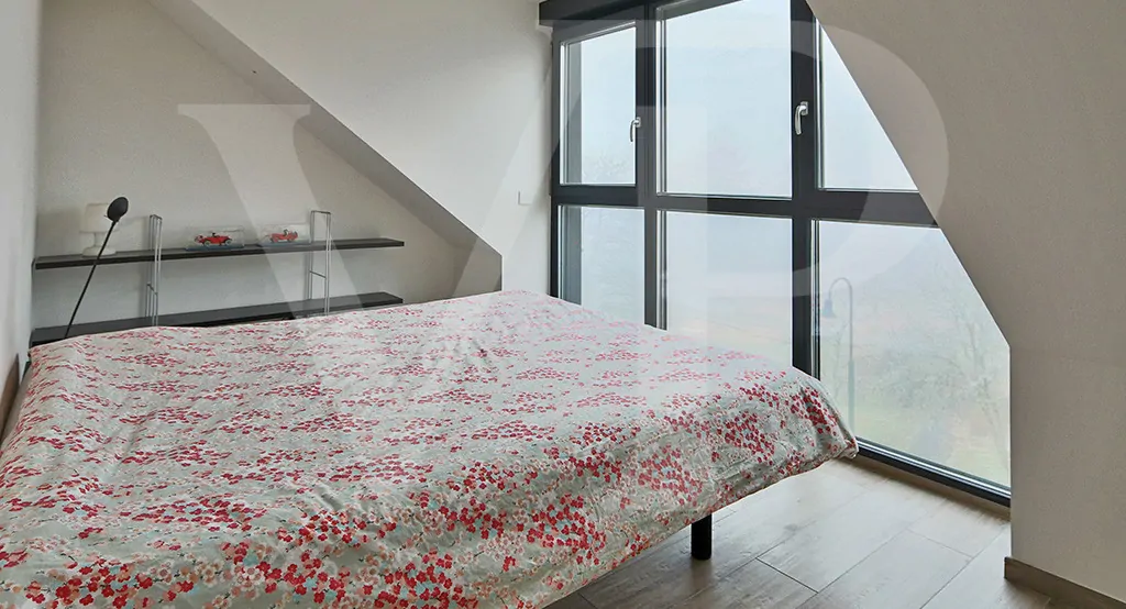 IMG_8950_20250206152204658965 WEB