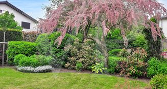 von_poll_real_estate_property_LU251953750_image_21