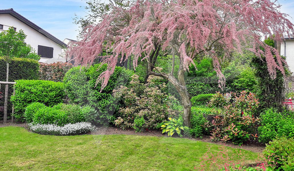 2019+jardin+2_20250929175734970122WEB