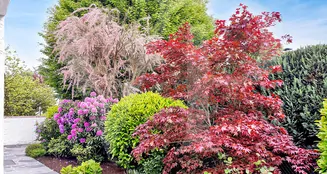 von_poll_real_estate_property_LU251953750_image_7