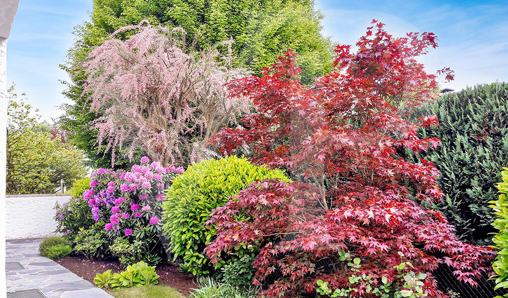 2019+jardin+1_20250929175733898782WEB