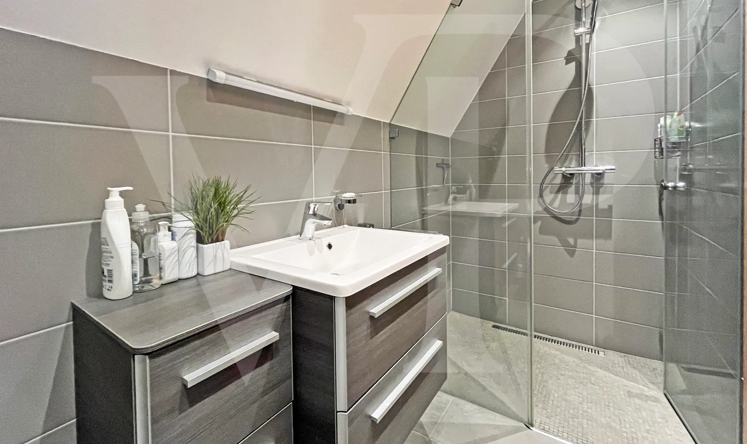 004_20250627162913555008 PRO