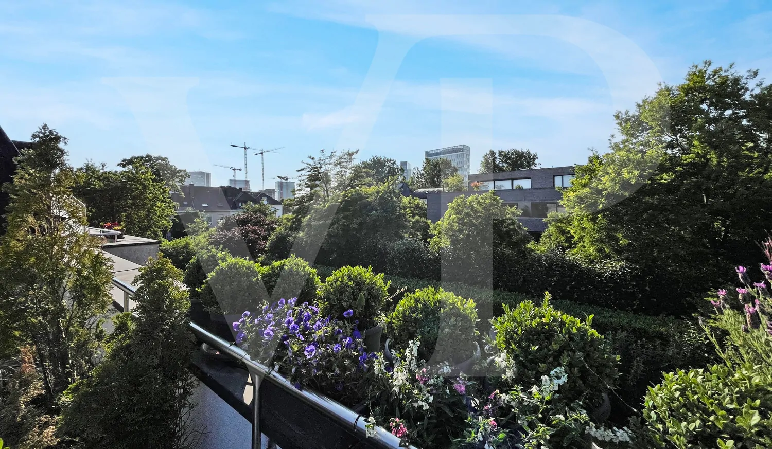 011_20250627162912519576 PRO