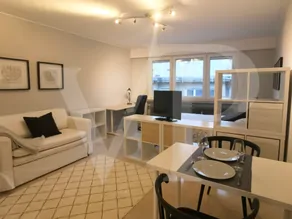 Luxurious furnished studio for rent in Limpertsberg